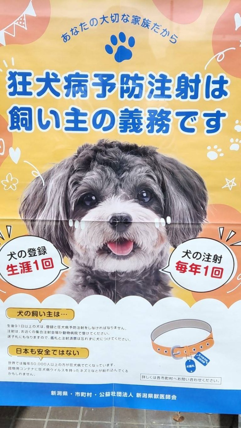 ひごペット 狂犬病予防接種料金 安い