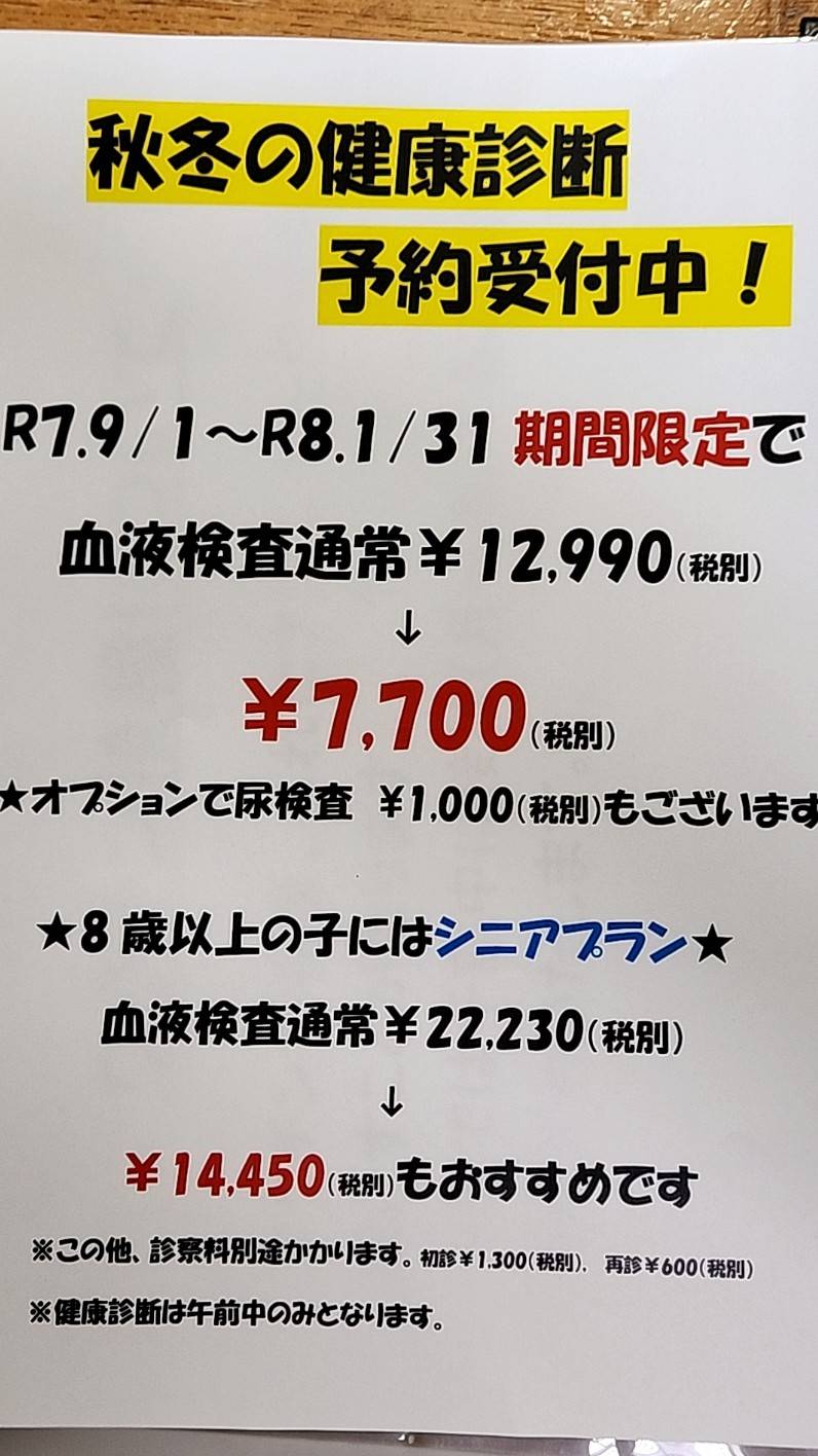 新潟 エルム動物クリニック