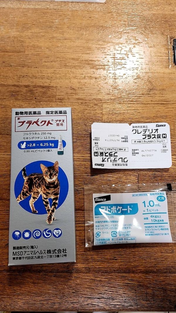 新潟 エルム動物クリニック