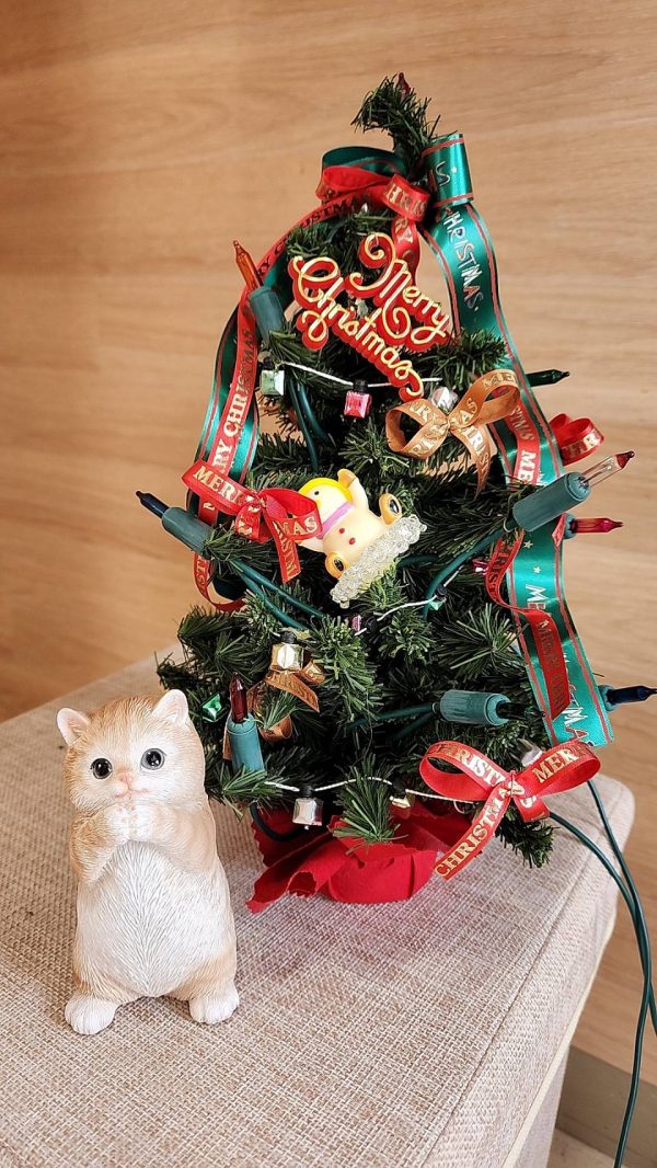 新潟 エルム動物クリニック