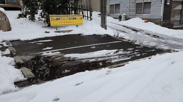 新潟 エルム動物クリニック