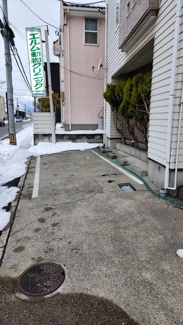 新潟 エルム動物クリニック